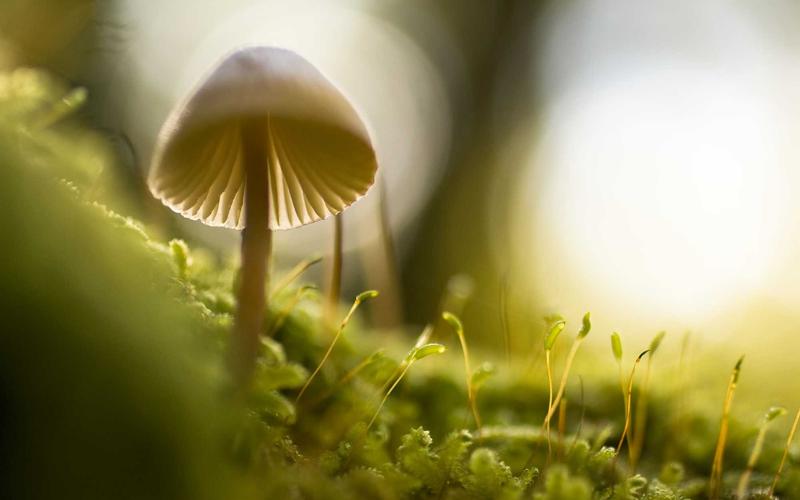 战术分析示意图展示足球场上球员跑位路线和传球网络，背景为球场俯视图